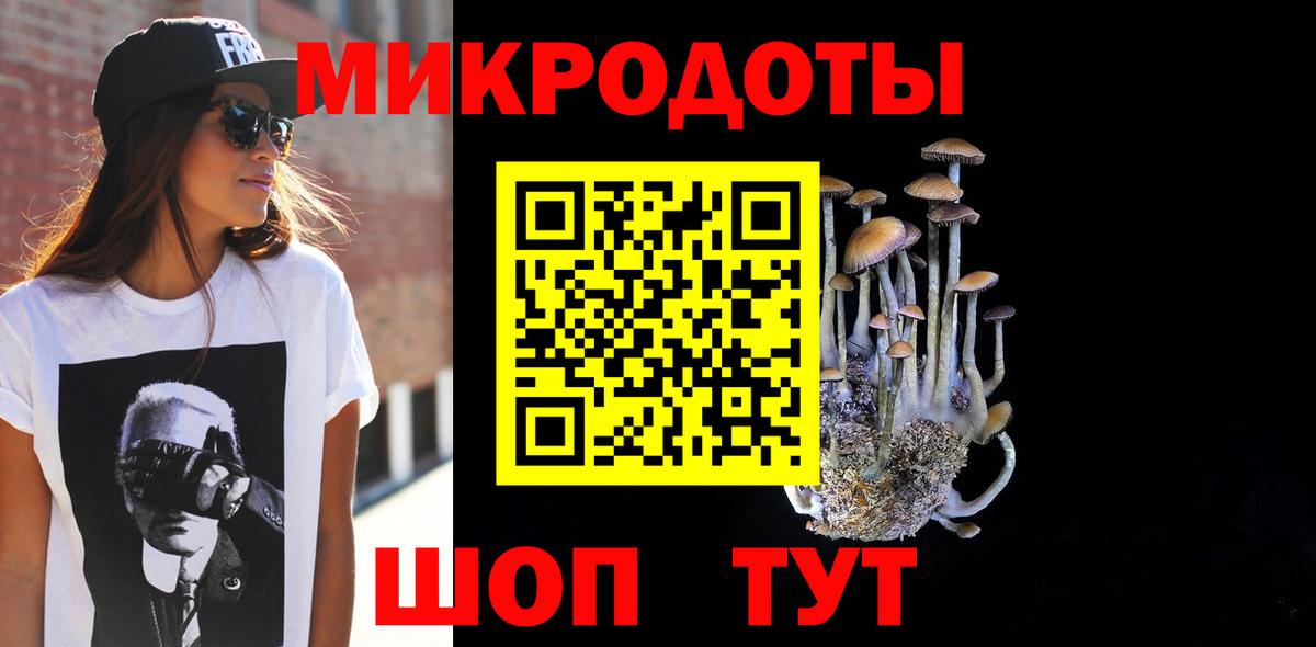 Галлюциногенные грибы Cubensis Бердск